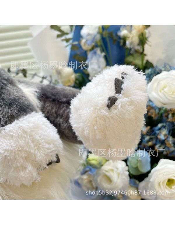  New Lucifer doll bad cat series doll plush toys accompany pillow big faced cat pacify baby