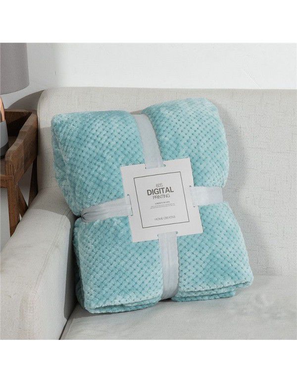 Blanket blanket mesh coral blanket lunch break blanket sofa blanket winter flannel pineapple blanket cross-border blanket