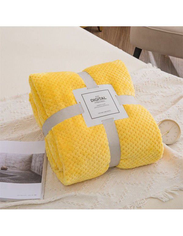 Blanket blanket mesh coral blanket lunch break blanket sofa blanket winter flannel pineapple blanket cross-border blanket