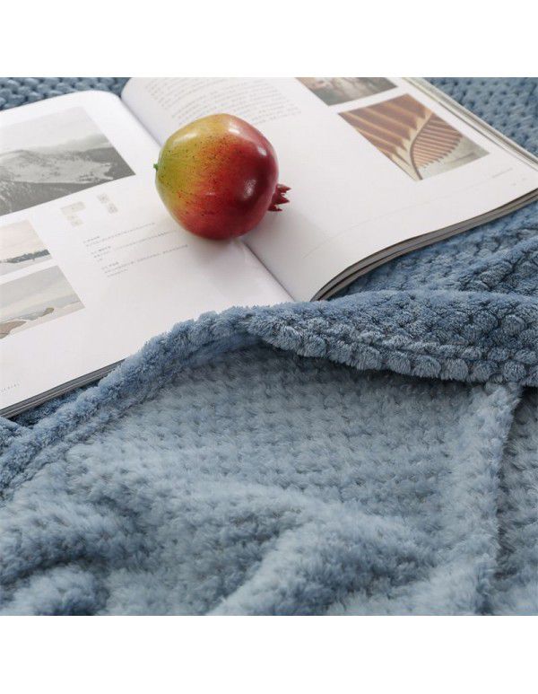 Blanket blanket mesh coral blanket lunch break blanket sofa blanket winter flannel pineapple blanket cross-border blanket