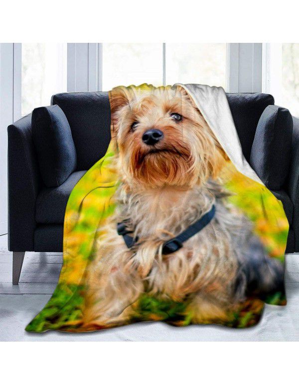 DIY blanket creative autumn and winter warm sofa cover blanket high-definition digital printing double-sided flannel air conditioning blanket