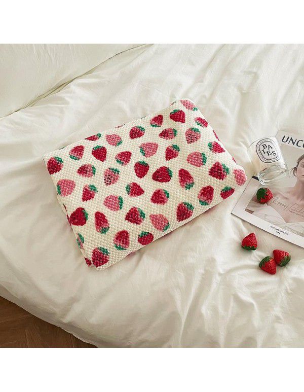 Strawberry coral wool blanket thin summer office nap air conditioning blanket nap sofa shawl blanket blanket