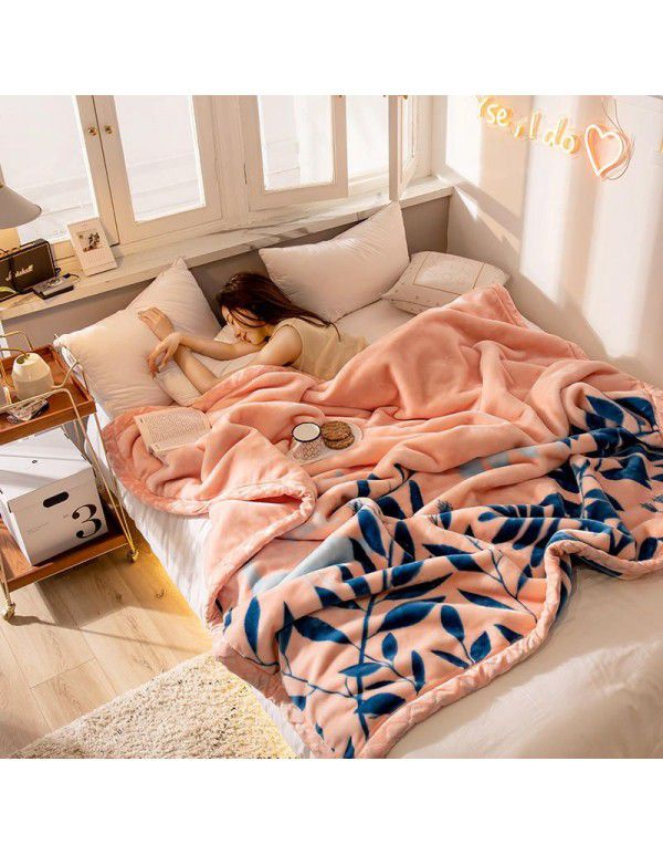 Wholesale blanket thickened double-layer winter raschel blanket single person double cartoon children's double-sided blanket