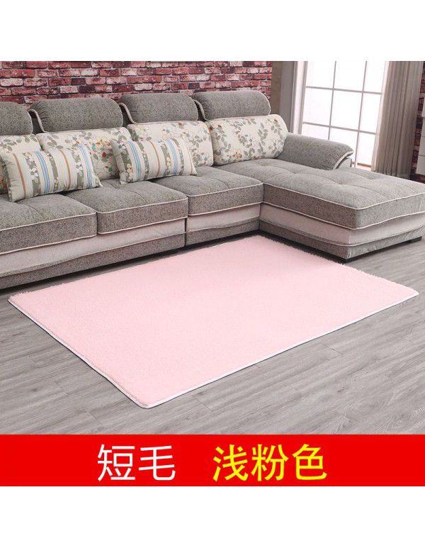 Thick washable silk wool blanket floor mat bedroom living room carpet floor mat float window mat splicing carpet